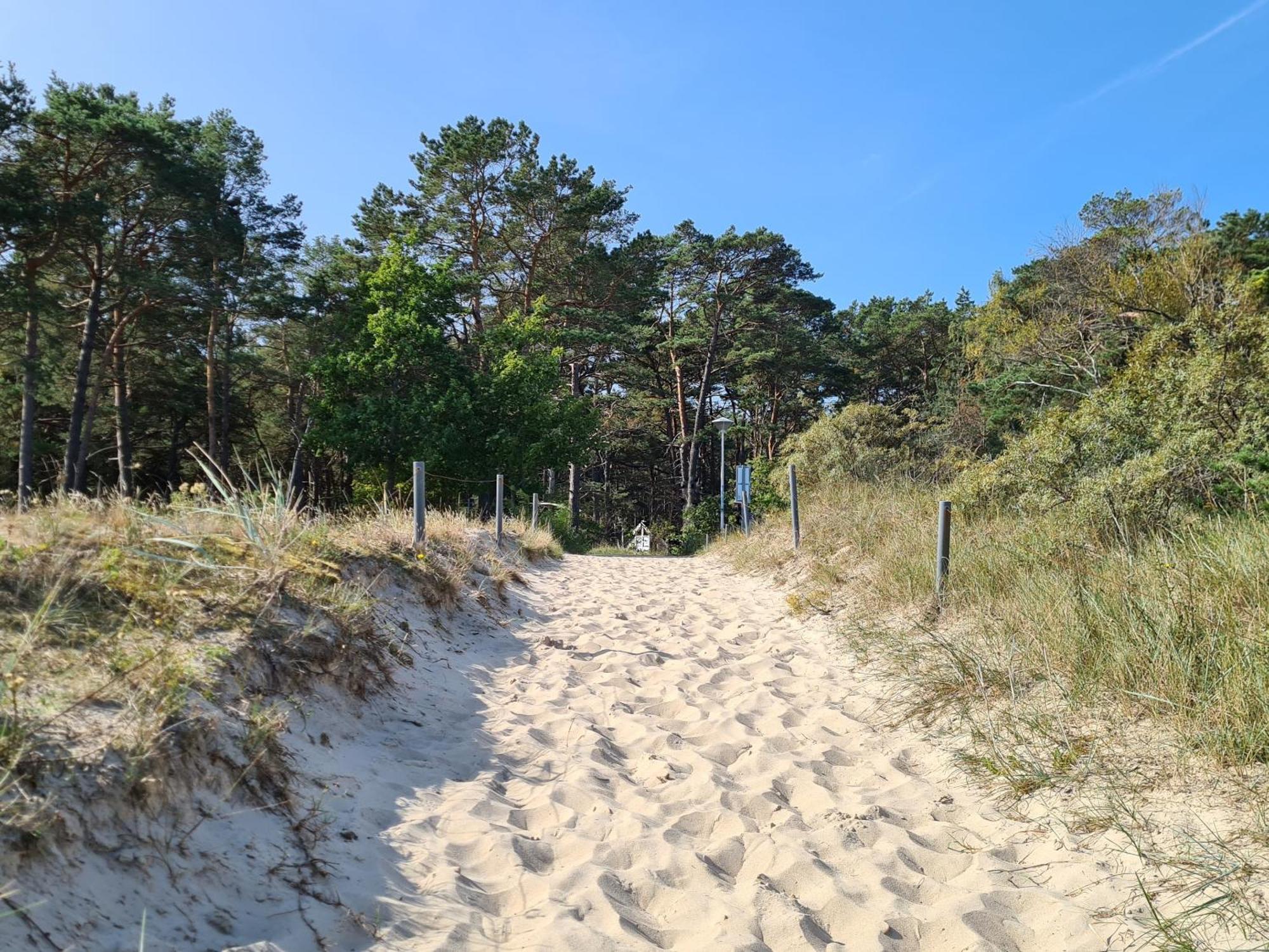 Pink Und Meer - Meerblick, Sauna, Kamin & Whirlpool Baabe Eksteriør billede